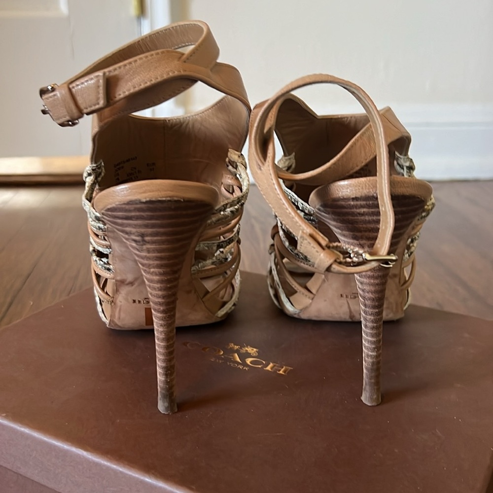 Coach Jody Python Print Stilettos - image 3